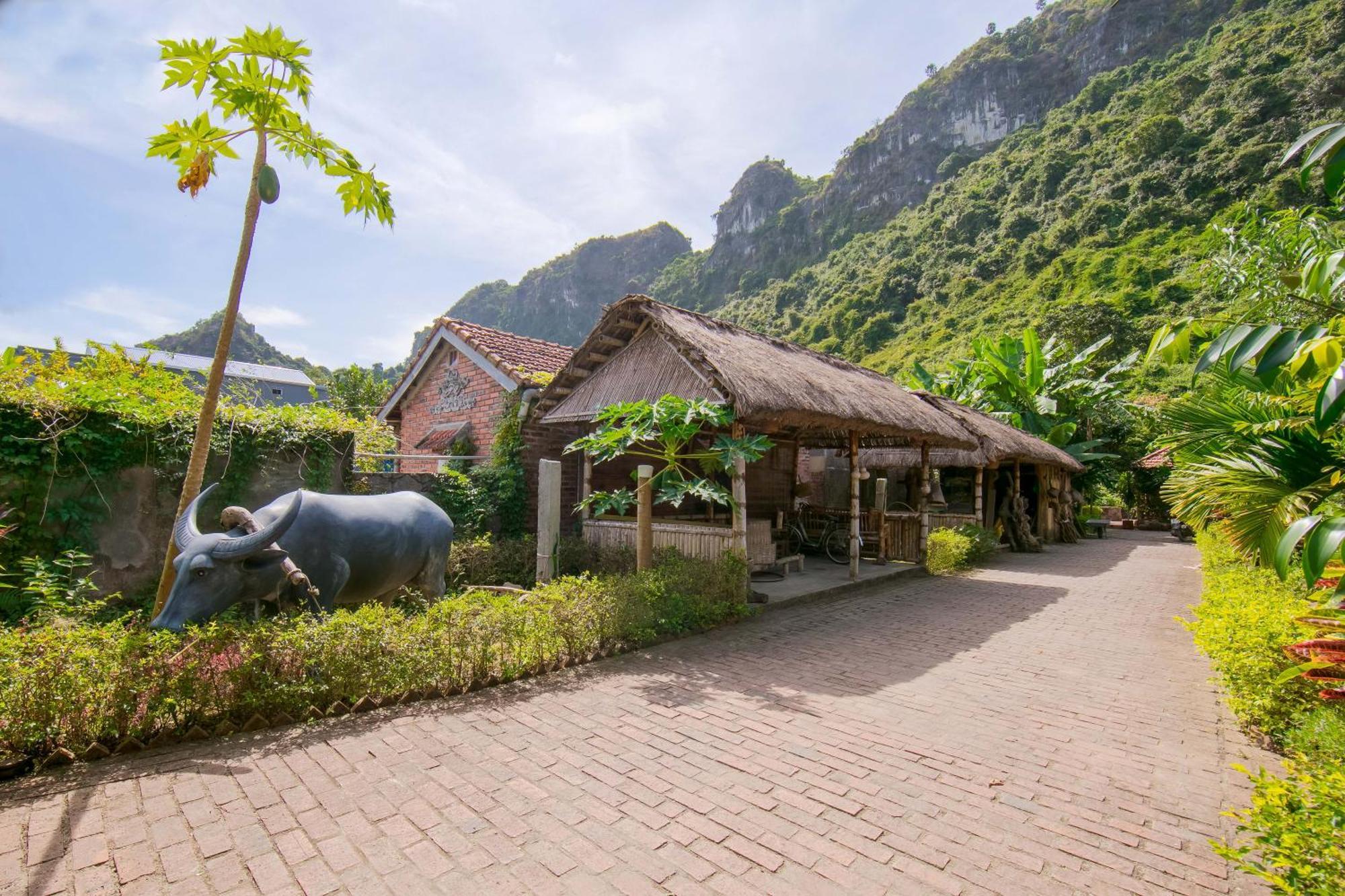 Trung Trang Viet Hai Lan Homestay מראה חיצוני תמונה
